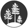 Picture of Pine Project