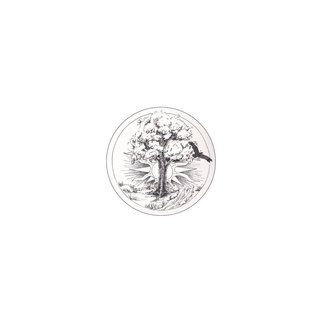 Bild von Wildnisschule Naturkreis