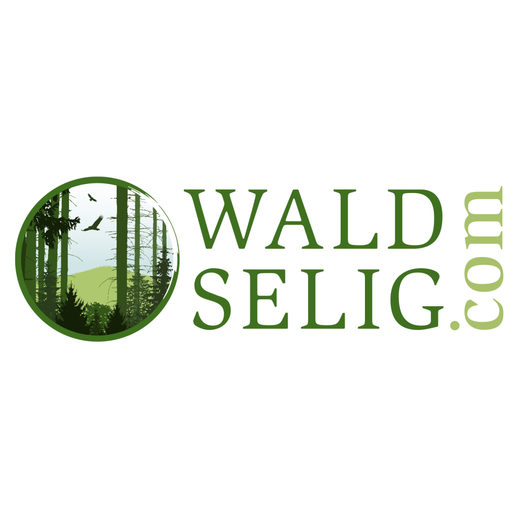 Bild von Waldselig