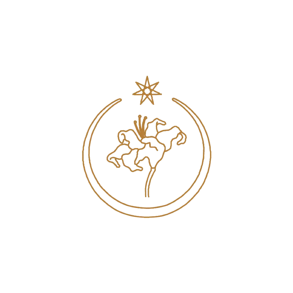 Logo der Wildnisschule Arven