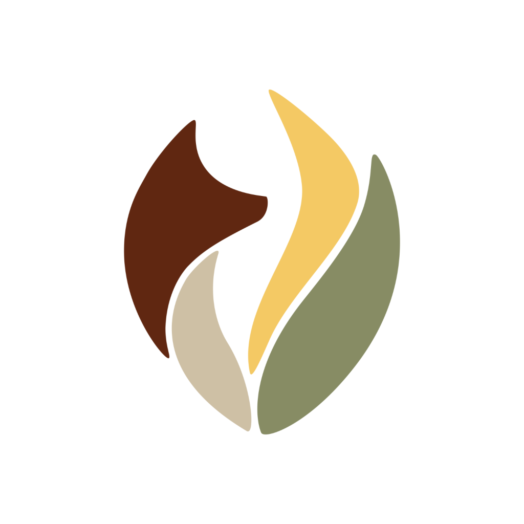 Transistor