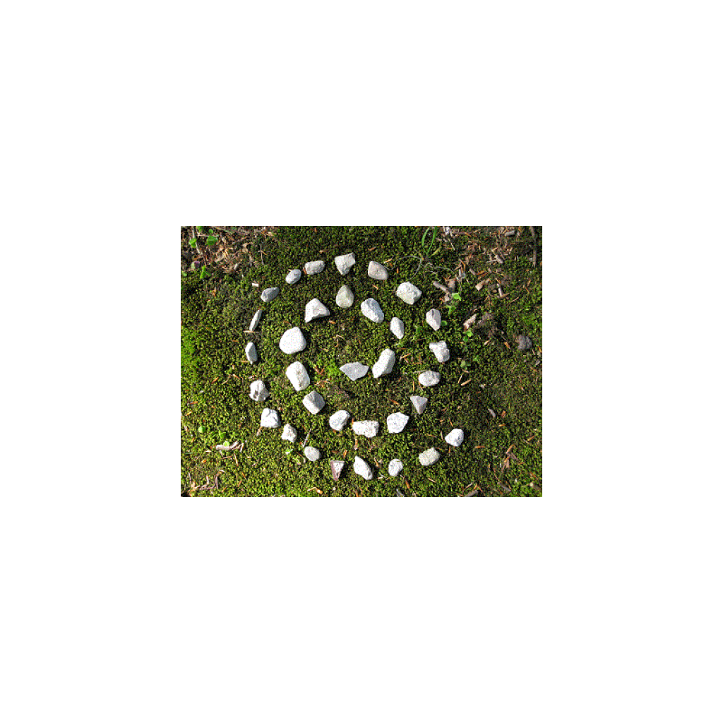 Bild von WILDerLEBEN