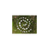 Picture of WILDerLEBEN