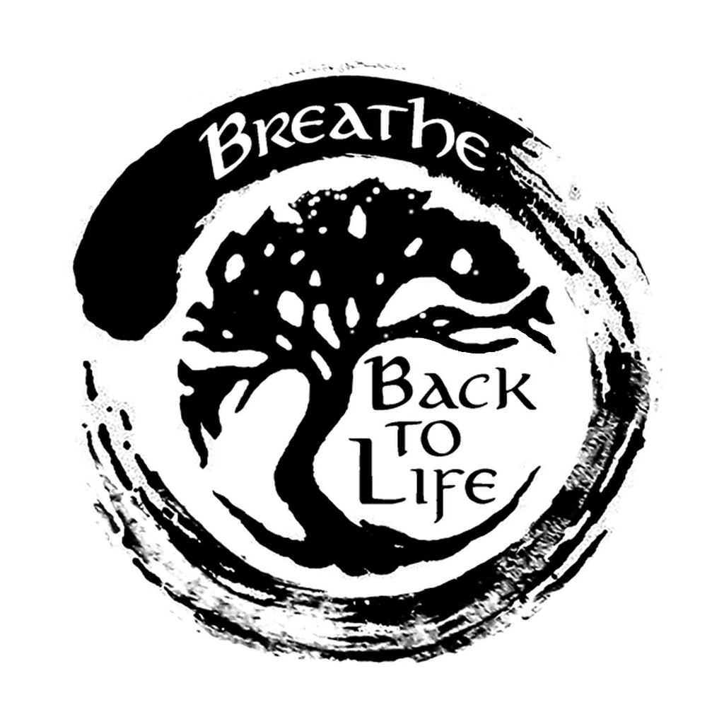 Bild von Herzkraft & BreatheBackToLife Männerseminare